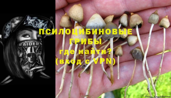 2c-b Касимов