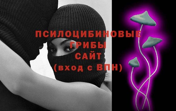 2c-b Касимов