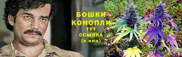 2c-b Касимов