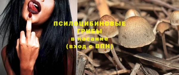 2c-b Касимов